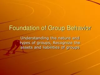 Foundation of Group Behavior