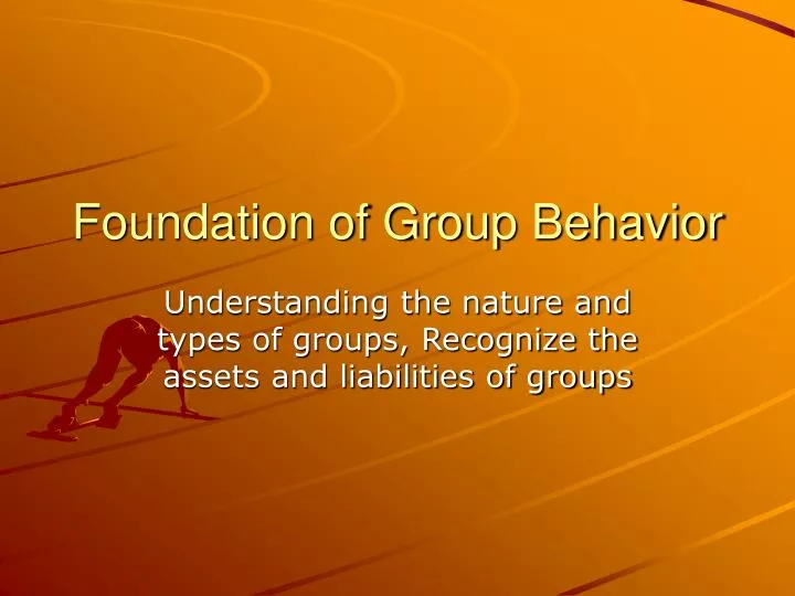 foundation of group behavior