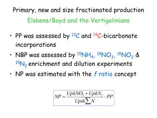 Primary, new and size fractionated production Elskens/Boyd and the Vertigolinians