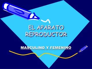 EL APARATO REPRODUCTOR
