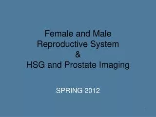 Female and Male Reproductive System &amp; HSG and Prostate Imaging