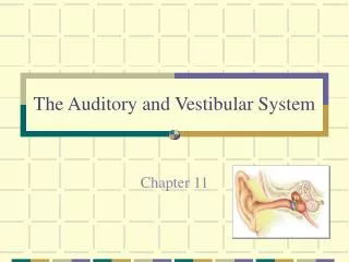 The Auditory and Vestibular System