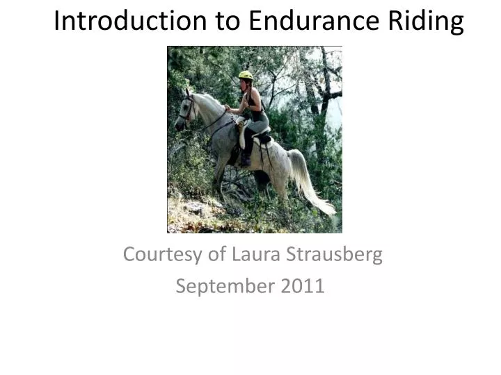 introduction to endurance riding