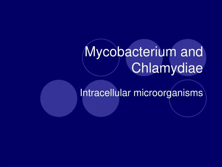 mycobacterium and chlamydiae