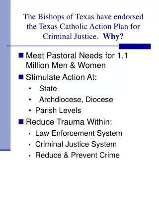 The Bishops of Texas have endorsed the Texas Catholic Action Plan for Criminal Justice. Why?