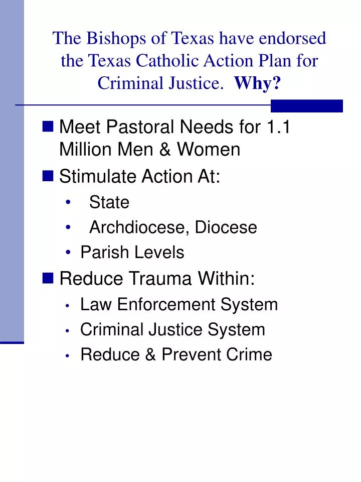 the bishops of texas have endorsed the texas catholic action plan for criminal justice why