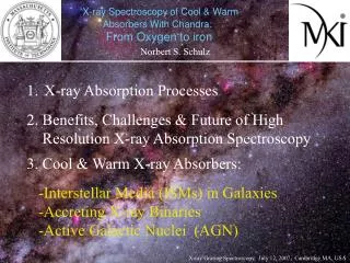 X-ray Spectroscopy of Cool &amp; Warm Absorbers With Chandra: From Oxygen to iron