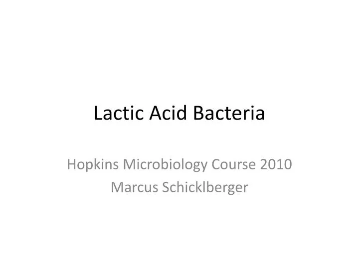 lactic acid bacteria