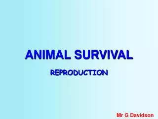 ANIMAL SURVIVAL