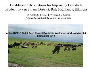 Feed-based Interventions for Improving Livestock Productivity in Sinana District, Bale Highlands, Ethiopia