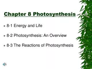 Chapter 8 Photosynthesis