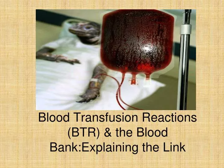 blood transfusion reactions btr the blood bank explaining the link