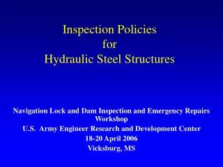 Inspection Policies for Hydraulic Steel Structures
