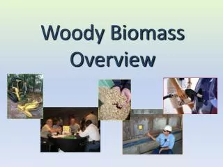 Woody Biomass Overview