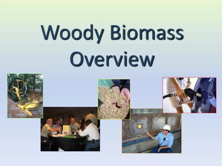 woody biomass overview