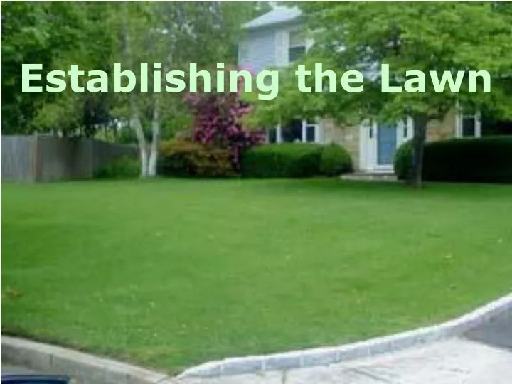 establishing the lawn