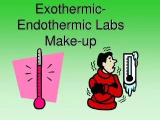 Exothermic-Endothermic Labs Make-up