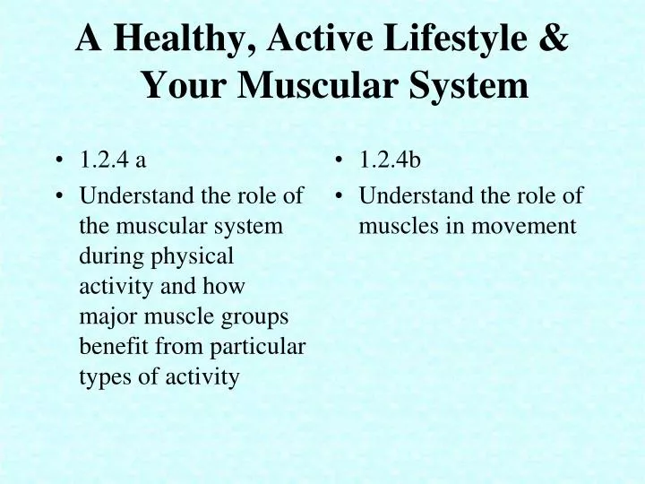 a healthy active lifestyle your muscular system
