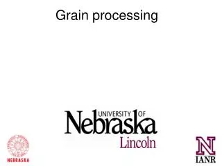 Grain processing