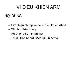 vi i u khi n arm