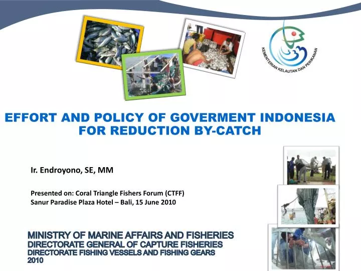 effort a nd policy of goverment indonesia for reduction by catch