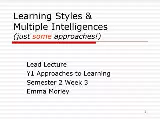 Learning Styles &amp; Multiple Intelligences (just some approaches!)