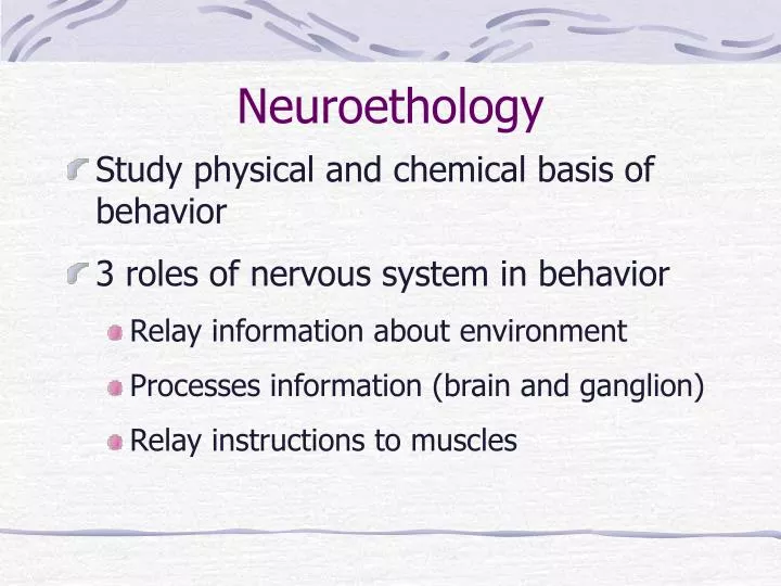 neuroethology