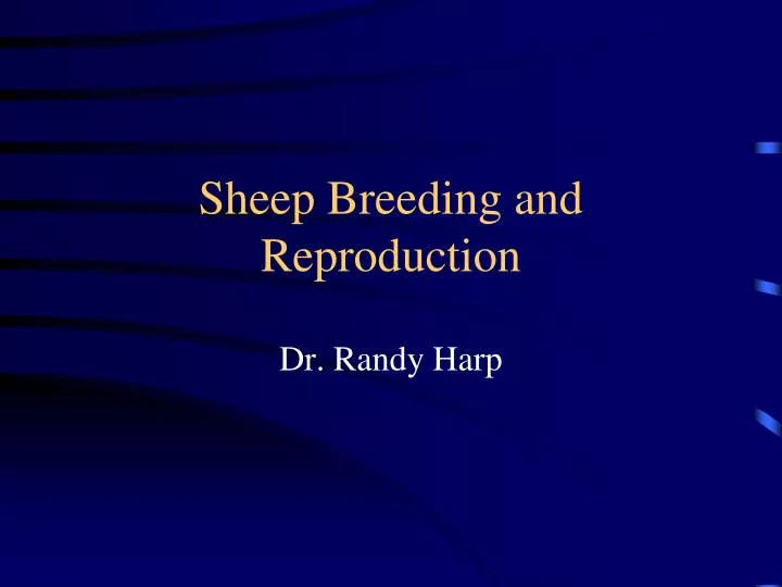 sheep breeding and reproduction