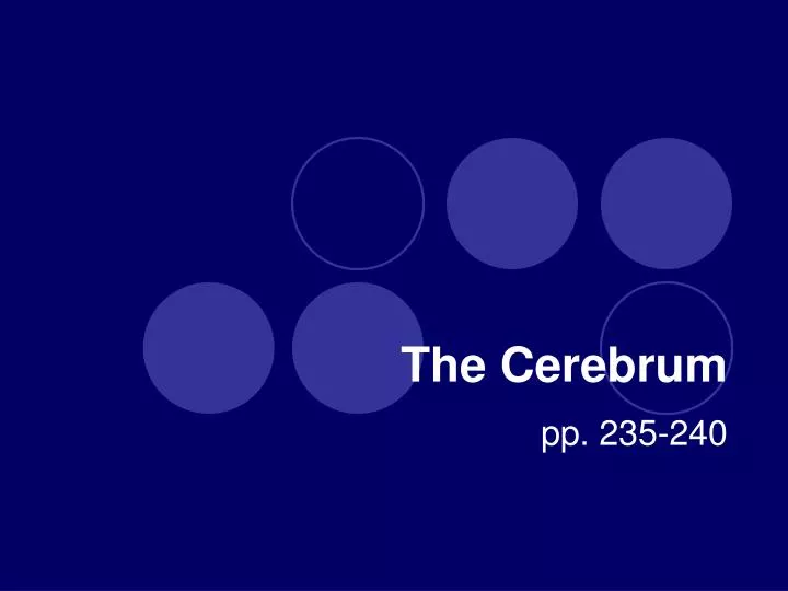 the cerebrum