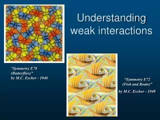 Understanding weak interactions