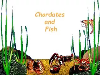 Chordates and Fish