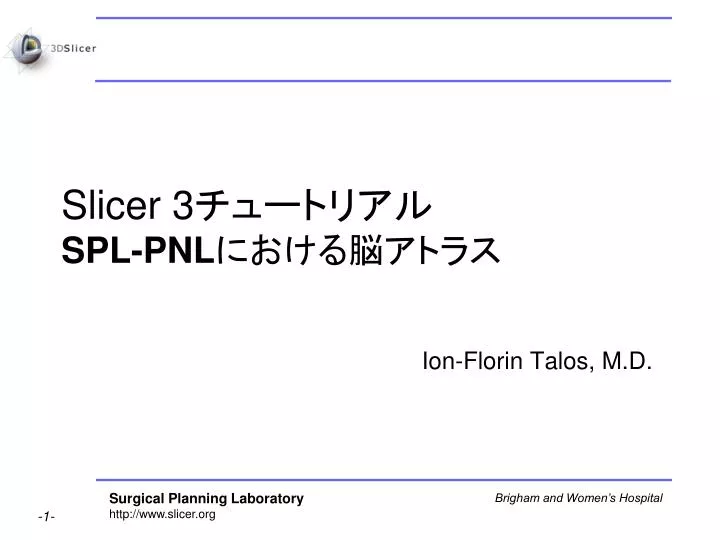 slicer 3 spl pnl