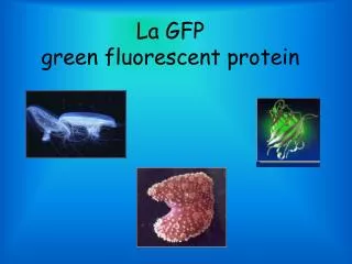La GFP green fluorescent protein