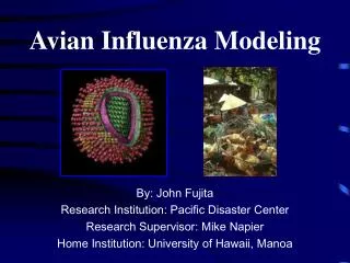 Avian Influenza Modeling