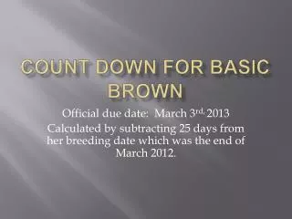 Count Down FoR Basic Brown