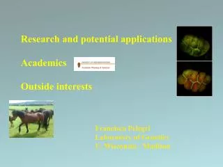 Research and potential applications Academics Outside interests