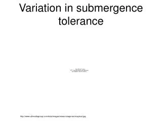 Variation in submergence tolerance