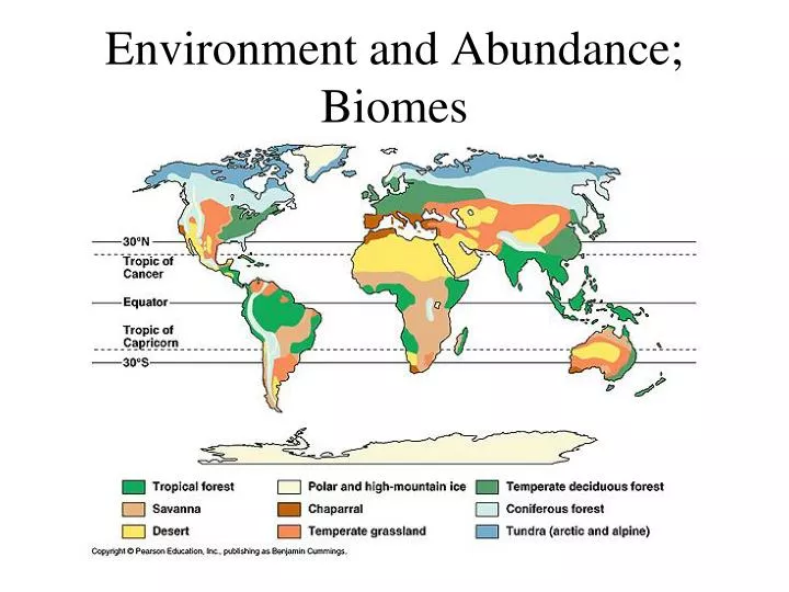 environment and abundance biomes