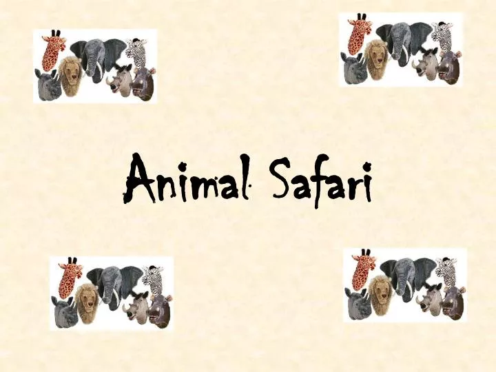 animal safari