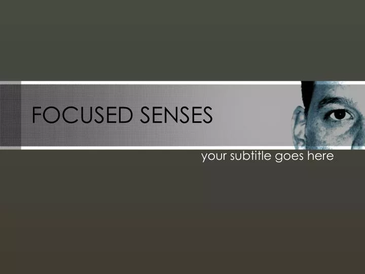focused senses