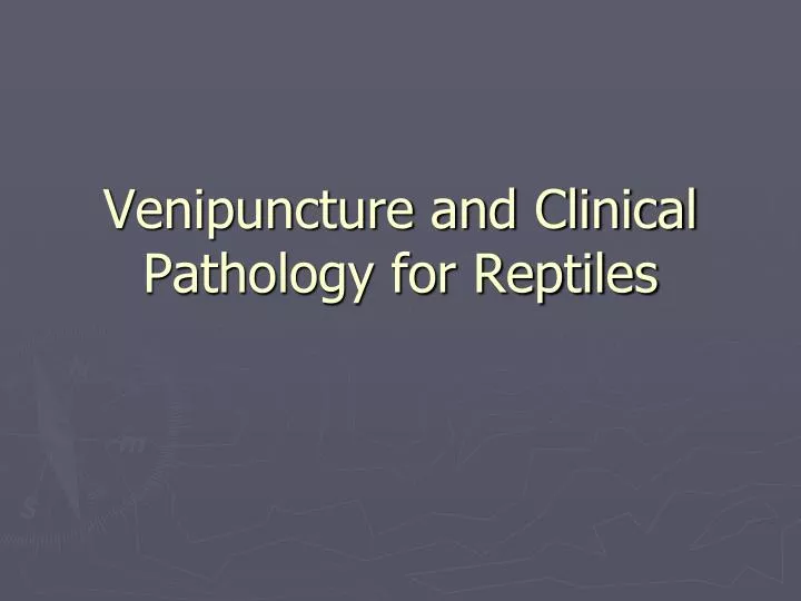 venipuncture and clinical pathology for reptiles