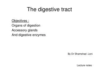 The digestive tract
