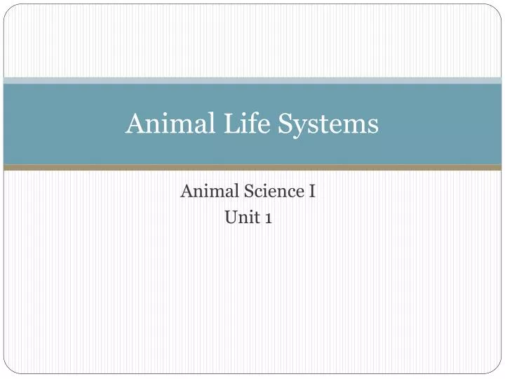 animal life systems