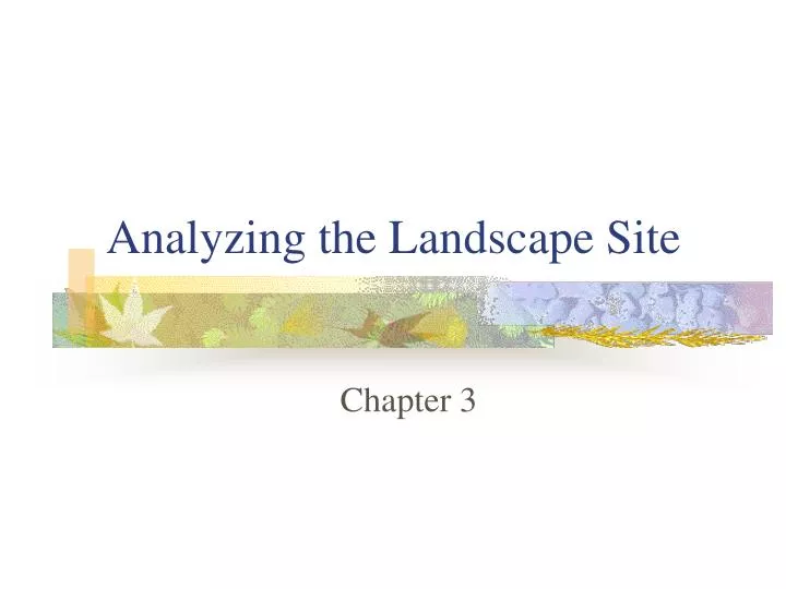 analyzing the landscape site