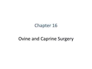 Ovine and Caprine Surgery