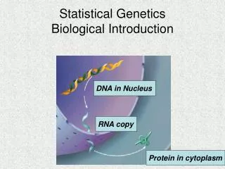 Statistical Genetics Biological Introduction