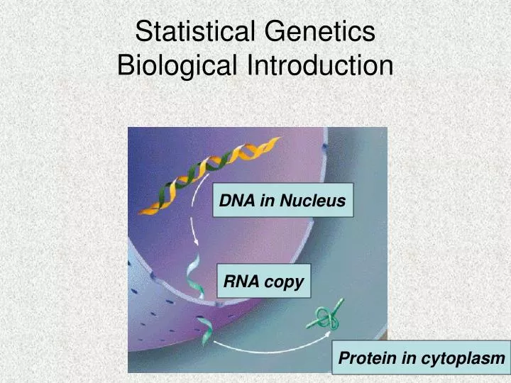 statistical genetics biological introduction