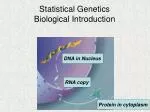 Statistical Genetics Biological Introduction - slide 1