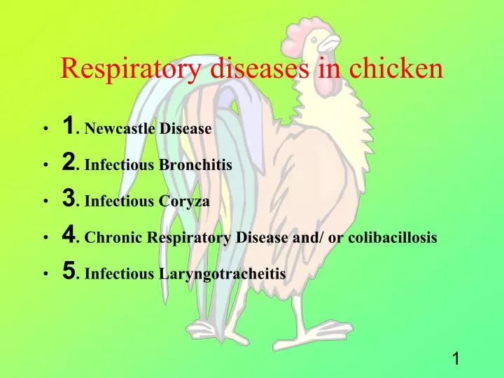 respiratory diseases in chicken