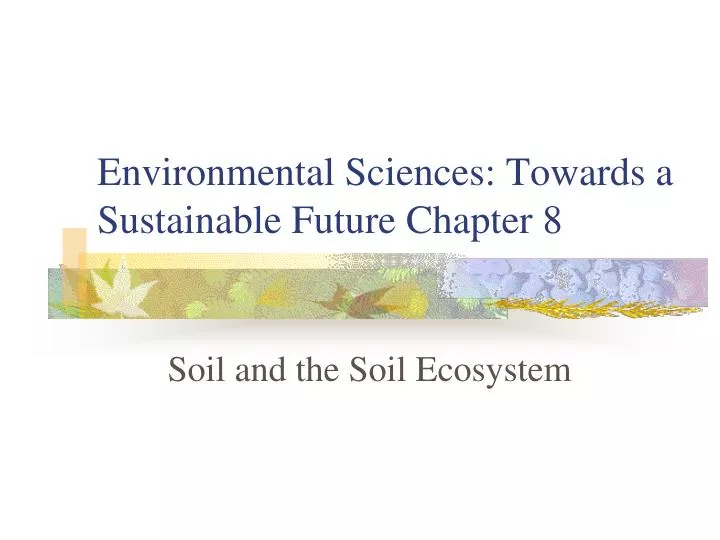 environmental sciences towards a sustainable future chapter 8